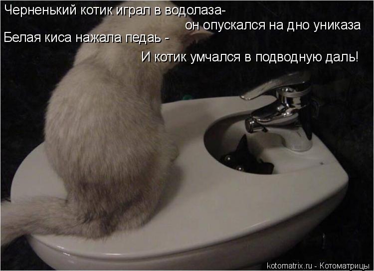 Котоматрица: Черненький котик играл в водолаза- он опускался на дно униказа Белая киса нажала педаь - И котик умчался в подводную даль!