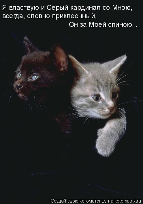 Котоматрица: Я властвую и Серый кардинал со Мною, всегда, словно приклеенный, Он за Моей спиною...
