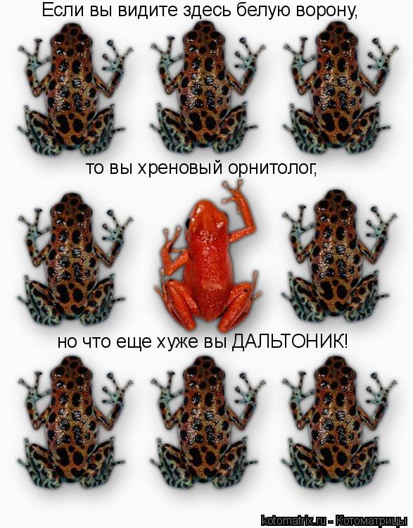 Если вы видите здесь белую ворону, то вы хреновый орнитолог, но что еще хуже вы ДАЛЬТОНИК!... Котоматрица: Если вы видите здесь белую ворону, то вы хреновый орнитолог, но что еще хуже вы ДАЛЬТОНИК!