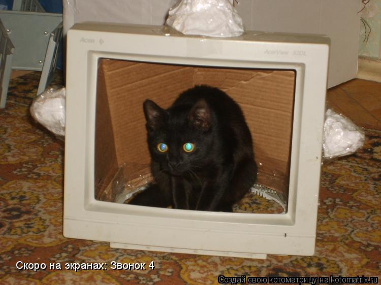 Котоматрица: Скоро на экранах: Звонок 4