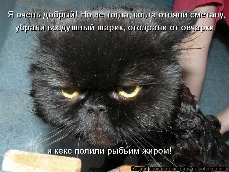 Котоматрица: Я очень добрый! Но не тогда, когда отняли сметану,  убрали воздушный шарик, отодрали от овчарки  и кекс полили рыбьим жиром!