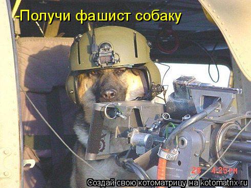 Котоматрица: -Получи фашист собаку