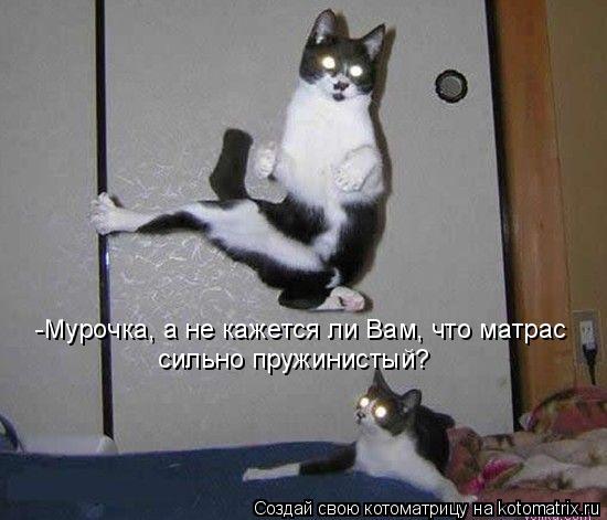 Котоматрица: -Мурочка, а не кажется ли Вам, что матрас  сильно пружинистый?