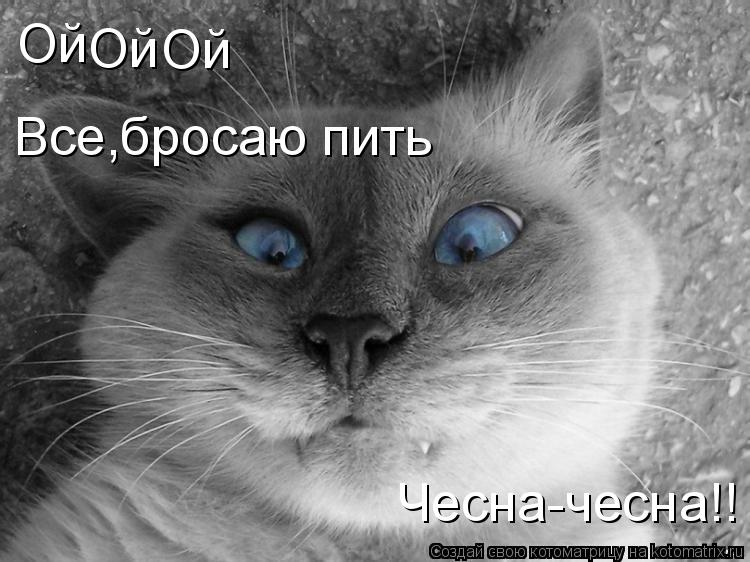 Котоматрица: Ой Ой Ой Все,бросаю пить Чесна-чесна!!