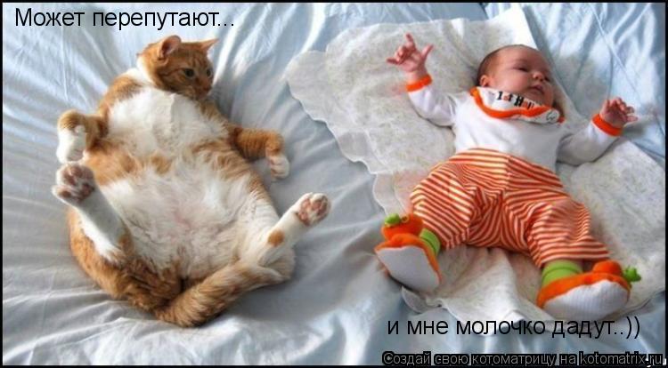 Котоматрица: Может перепутают... и мне молочко дадут..))