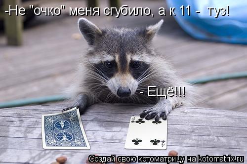 Котоматрица: -Не "очко" меня сгубило, а к 11 -  туз! - Ещё!!!