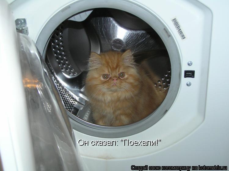 Котоматрица: Он сказал: "Поехали!"