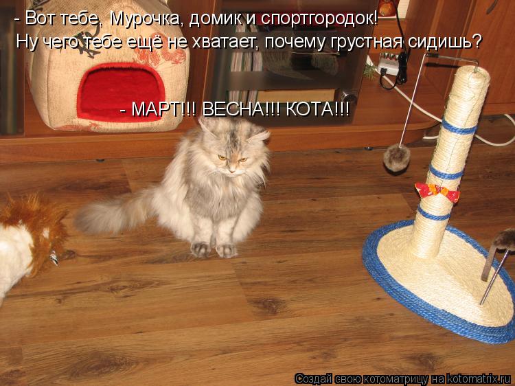 Котоматрица: - Вот тебе, Мурочка, домик и спортгородок!  Ну чего тебе ещё не хватает, почему грустная сидишь? - МАРТ!!! ВЕСНА!!! КОТА!!!