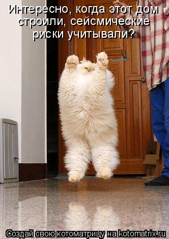 Котоматрица: Интересно, когда этот дом  строили, сейсмические  риски учитывали?