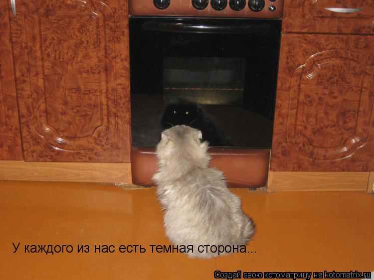 Котоматрица: У каждого из нас есть темная сторона...