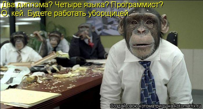 Два диплома? Четыре языка? Программист? О, кей. Будете работать уборщицей.... Котоматрица: Два диплома? Четыре языка? Программист? О, кей. Будете работать уборщицей.