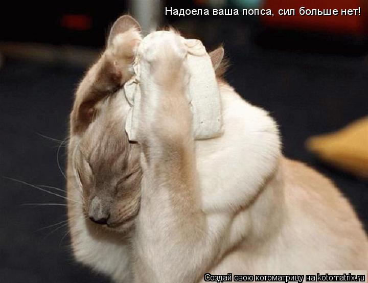 Котоматрица: Надоела ваша попса, сил больше нет!