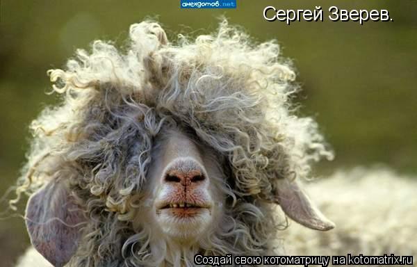 Котоматрица: Сергей Зверев.