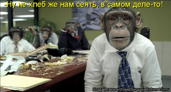 Котоматрица: -Ну не хлеб же нам сеять, в самом деле-то!