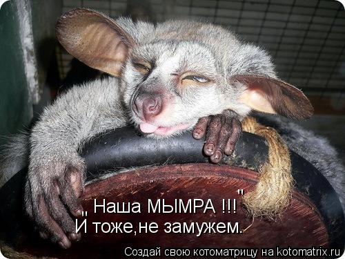 Котоматрица: Наша МЫМРА !!! " " И тоже,не замужем.