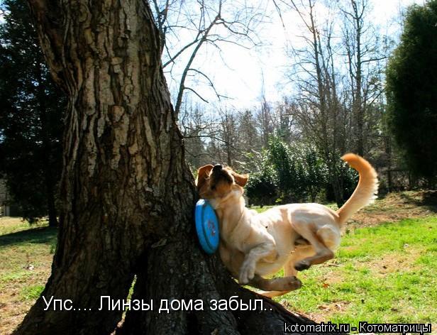 Котоматрица: Упс.... Линзы дома забыл..