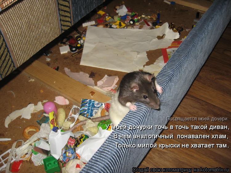 Котоматрица: У моей дочурки точь в точь такой диван, В нем аналогичный  понавален хлам, Только милой крыски не хватает там. Посвящается моей дочери
