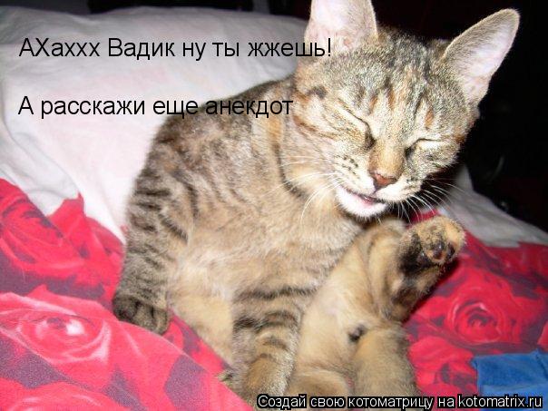 Котоматрица: АХаххх Вадик ну ты жжешь! А расскажи еще анекдот