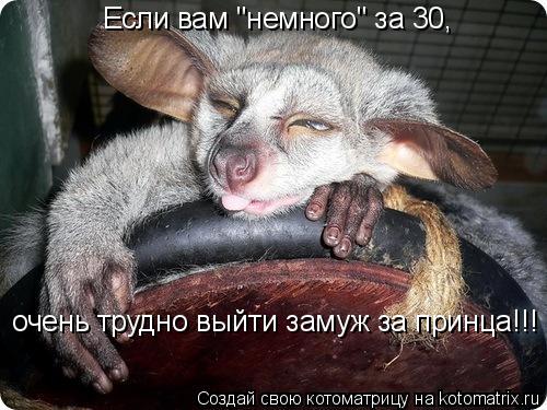 Котоматрица: Если вам "немного" за 30, очень трудно выйти замуж за принца!!!