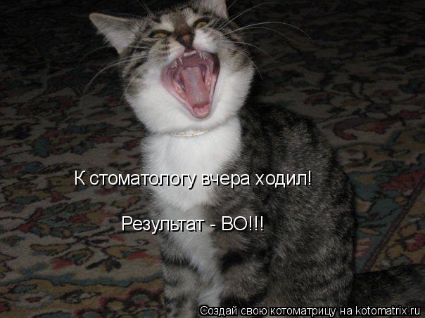 Котоматрица: К стоматологу вчера ходил! Результат - ВО!!!