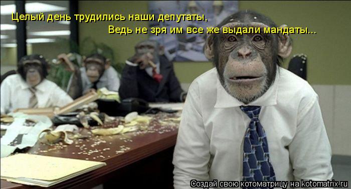 Котоматрица: Целый день трудились наши депутаты, Ведь не зря им все же выдали мандаты...