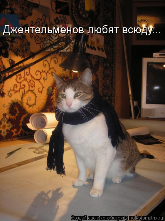 Котоматрица: Джентельменов любят всюду...