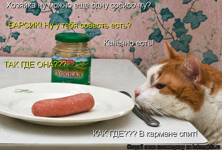 Котоматрица: Хозяйка ну можно ещё одну сосисочку? БАРСИК! Ну у тебя совесть есть? Канечно есть! ТАК ГДЕ ОНА??? КАК ГДЕ??? В кармане спит!