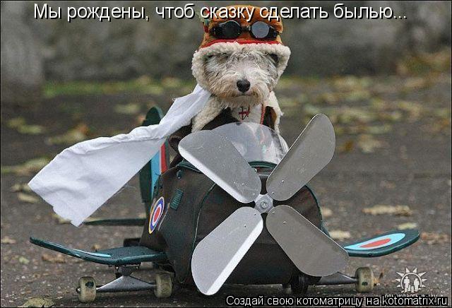 Котоматрица: Мы рождены, чтоб сказку сделать былью...