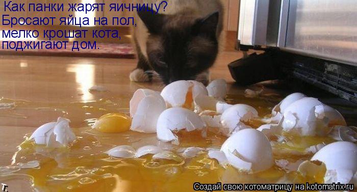 Котоматрица: Как панки жарят яичницу? Бросают яйца на пол, мелко крошат кота, поджигают дом.