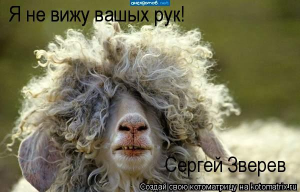 Котоматрица: Я не вижу вашых рук! Сергей Зверев Я не вижу вашых рук!