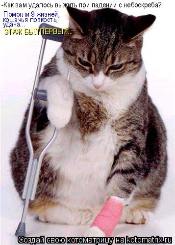Котоматрица: -Как вам удалось выжить при падении с небоскреба? -Помогли 9 жизней, кошачья ловкость, удача... ЭТАЖ БЫЛ ПЕРВЫЙ...