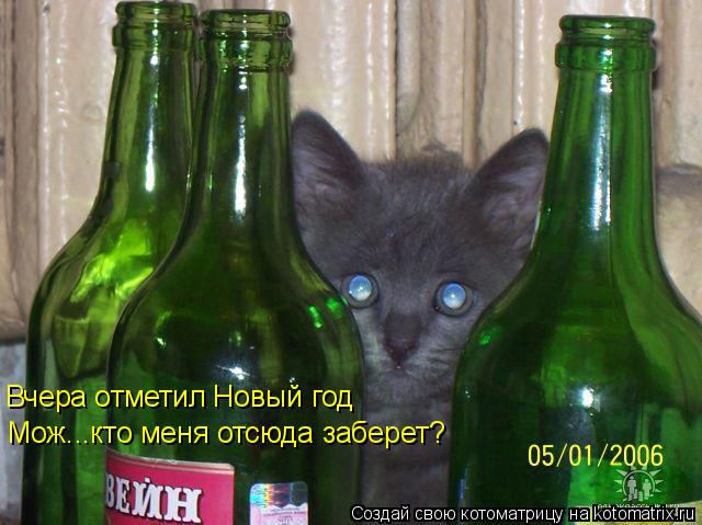 Котоматрица: Вчера отметил Новый год Мож...кто меня отсюда заберет?