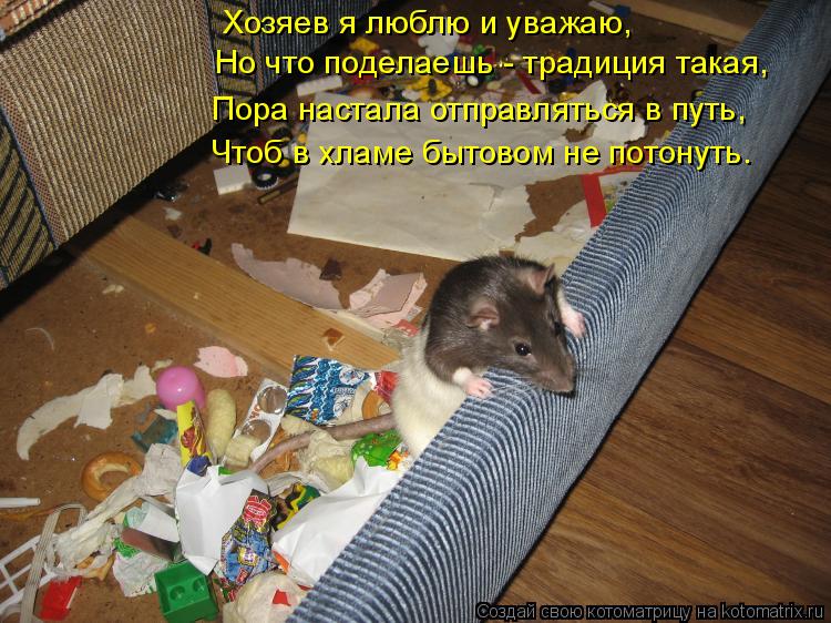 Котоматрица: Хозяев я люблю и уважаю, Но что поделаешь - традиция такая, Пора настала отправляться в путь, Чтоб в хламе бытовом не потонуть.