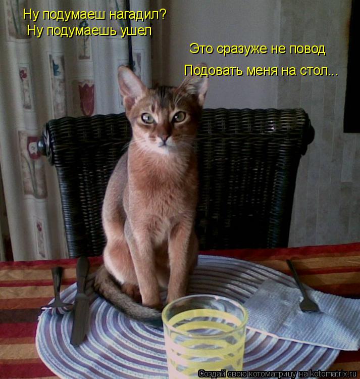 Котоматрица: Ну подумаеш нагадил? Ну подумаешь ушел Это сразуже не повод Подовать меня на стол...