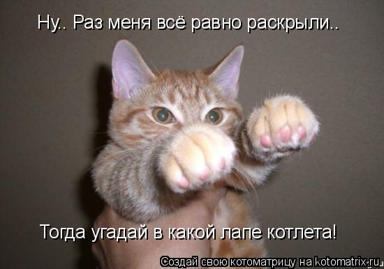 Котоматрица: Ну.. Раз меня всё равно раскрыли.. Тогда угадай в какой лапе котлета!