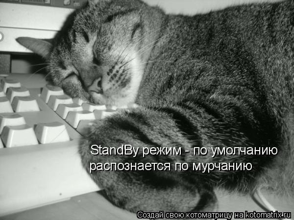 Котоматрица: StandBy режим - по умолчанию распознается по мурчанию