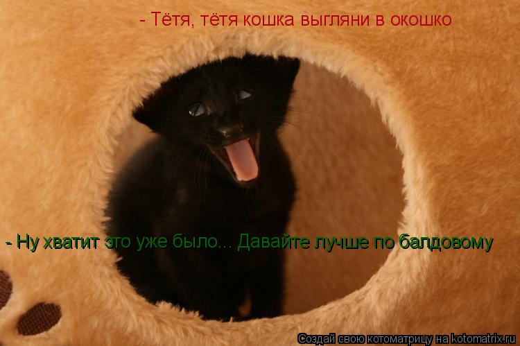 Котоматрица: - Тётя, тётя кошка выгляни в окошко - Тётя, тётя кошка выгляни в окошко - Тётя, тётя кошка выгляни в окошко - Тётя, тётя кошка выгляни в окошко - 