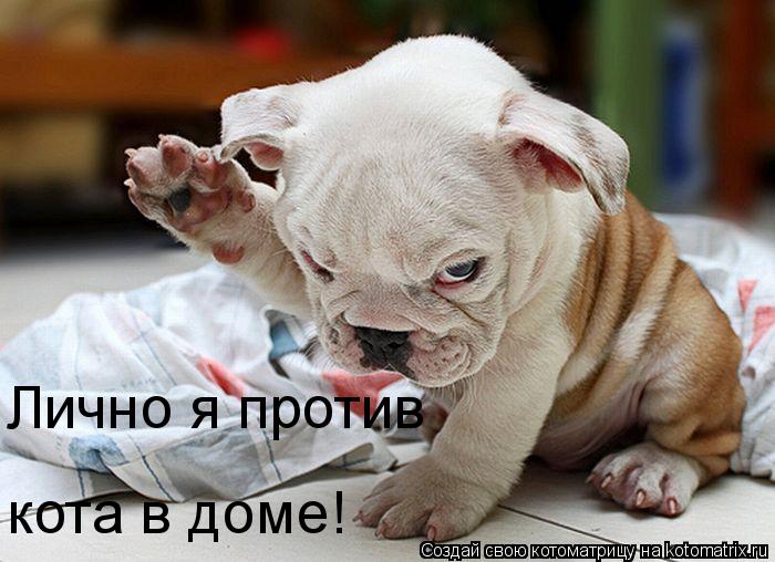 Котоматрица: Лично я против  кота в доме!
