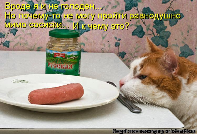 Котоматрица: Вроде я и не голоден... Но почему-то не могу пройти равнодушно мимо сосиски... И к чему это?