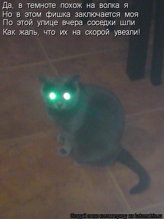 Котоматрица: Да,  в  темноте  похож  на  волка  я Но  в  этом  фишка  заключается  моя Как  жаль,  что  их  на  скорой  увезли! По  этой  улице  вчера  соседки  шл