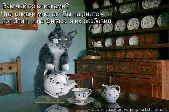 Котоматрица: Вам чай со сливками? Что, сливки мне, ах, Вы на диете - вот блин, и на фига ж  я их разбавил...