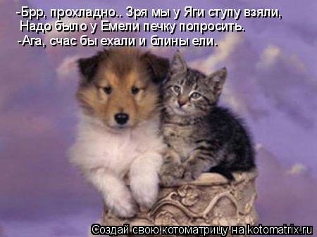 Котоматрица: -Брр, прохладно.. Зря мы у Яги ступу взяли, Надо было у Емели печку попросить. -Ага, счас бы ехали и блины ели.