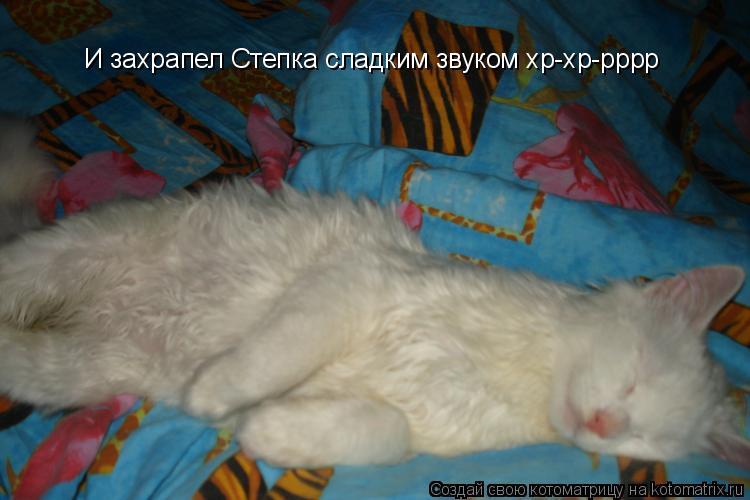 Котоматрица: И захрапел Степка сладким звуком хр-хр-рррр