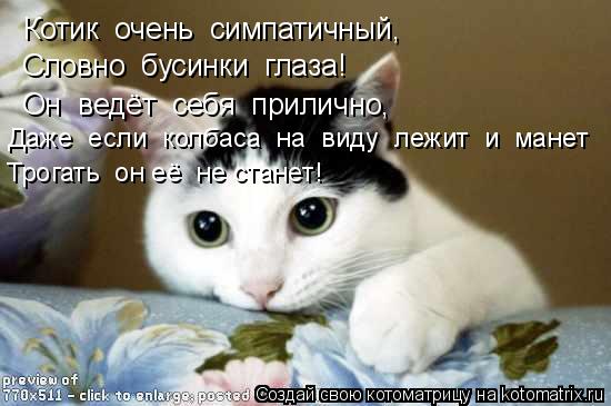 Котоматрица: Котик  очень  симпатичный, Словно  бусинки  глаза! Он  ведёт  себя  прилично,  Даже  если  колбаса  на  виду  лежит  и  манет Трогать  он её  не ста