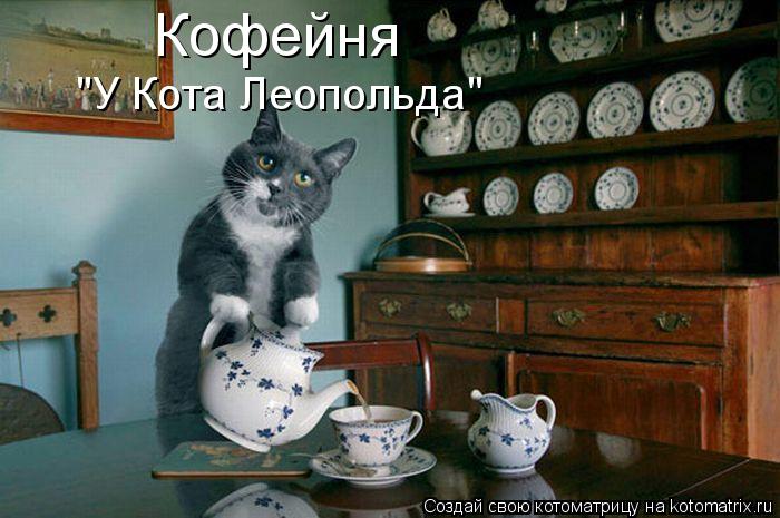 Котоматрица: Кофейня "У Кота Леопольда"