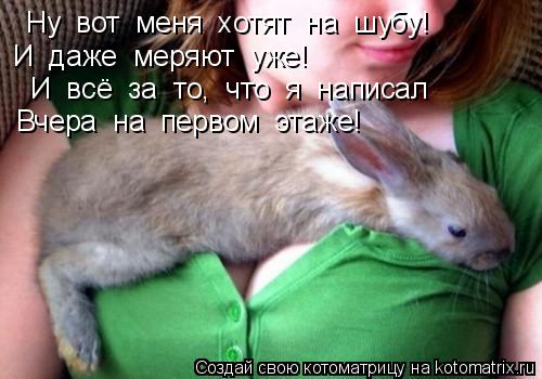 Котоматрица: Ну  вот  меня  хотят  на  шубу! И  даже  меряют  уже! И  всё  за  то,  что  я  написал Вчера  на  первом  этаже!