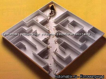 Котоматрица: Британские ученые ведут успешные разработки нано-танка