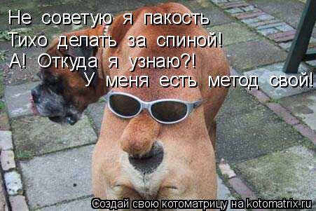 Котоматрица: Не  советую  я  пакость Тихо  делать  за  спиной! А!  Откуда  я  узнаю?! У  меня  есть  метод  свой!