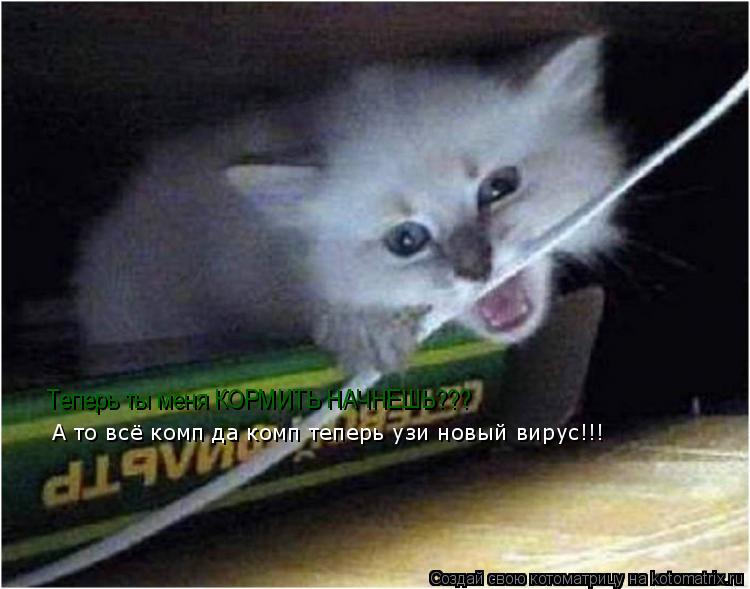 Котоматрица: Теперь ты меня КОРМИТЬ НАЧНЕШЬ??? А то всё комп да комп теперь узи новый вирус!!!