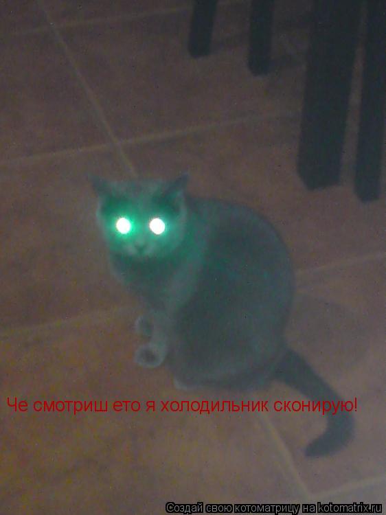 Котоматрица: Че смотриш ето я холодильник сконирую!
